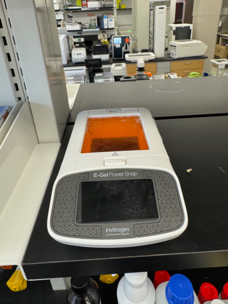 Image of Invitrogen E-Gel Power Snap Electrophoresis Device